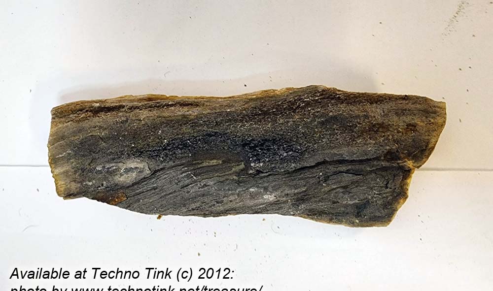 Small Raw piece of Yellowish-tan colored Petrified Wood measuring 7"x2"x1" - Image 2
