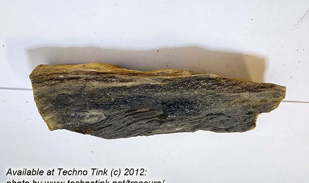 Small Raw piece of Yellowish-tan colored Petrified Wood measuring 7"x2"x1" - Image 3