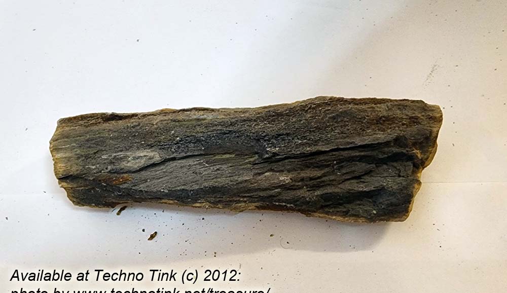 Small Raw piece of Yellowish-tan colored Petrified Wood measuring 7"x2"x1" - Image 4
