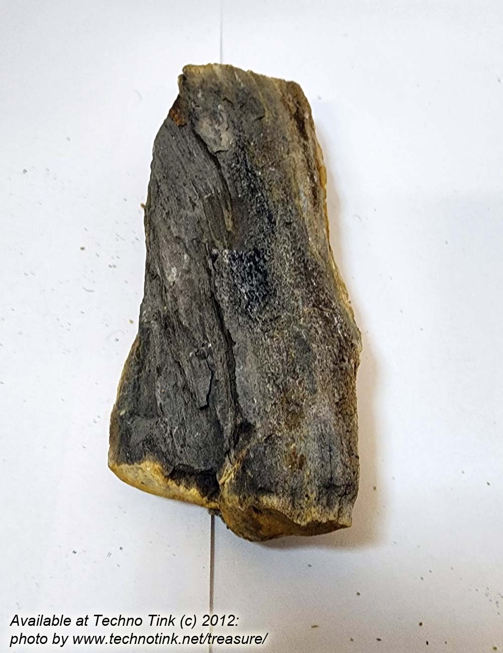 Small Raw piece of Yellowish-tan colored Petrified Wood measuring 7"x2"x1" - Image 5