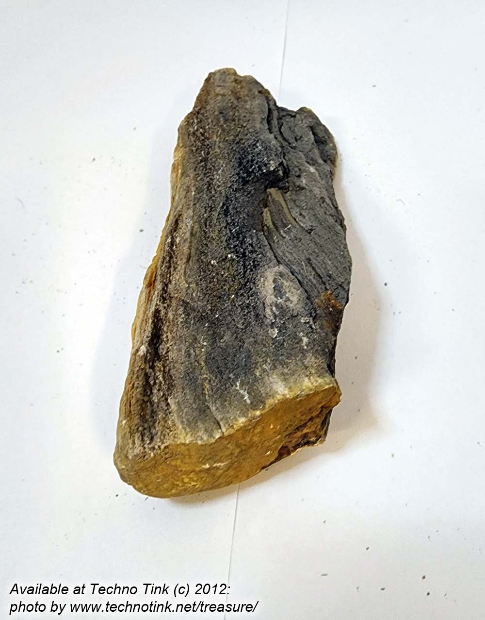 Small Raw piece of Yellowish-tan colored Petrified Wood measuring 7"x2"x1"
