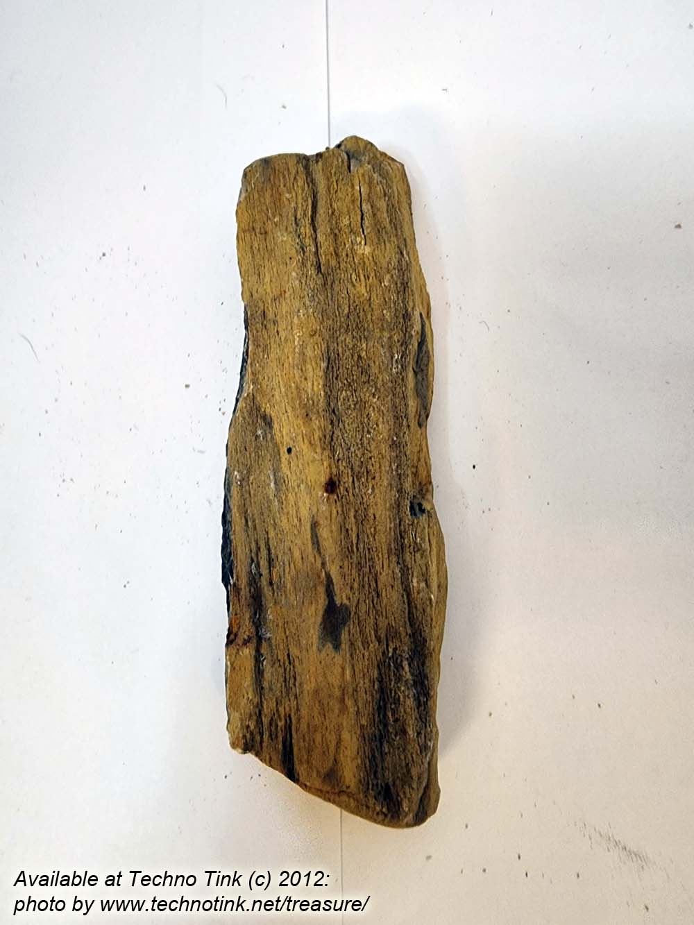 Small Raw piece of Yellowish-tan colored Petrified Wood measuring 7"x2"x1" - Image 7