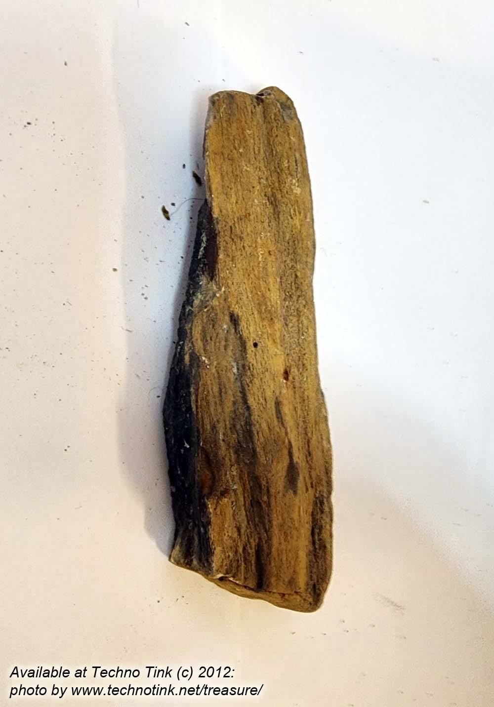 Small Raw piece of Yellowish-tan colored Petrified Wood measuring 7"x2"x1" - Image 8