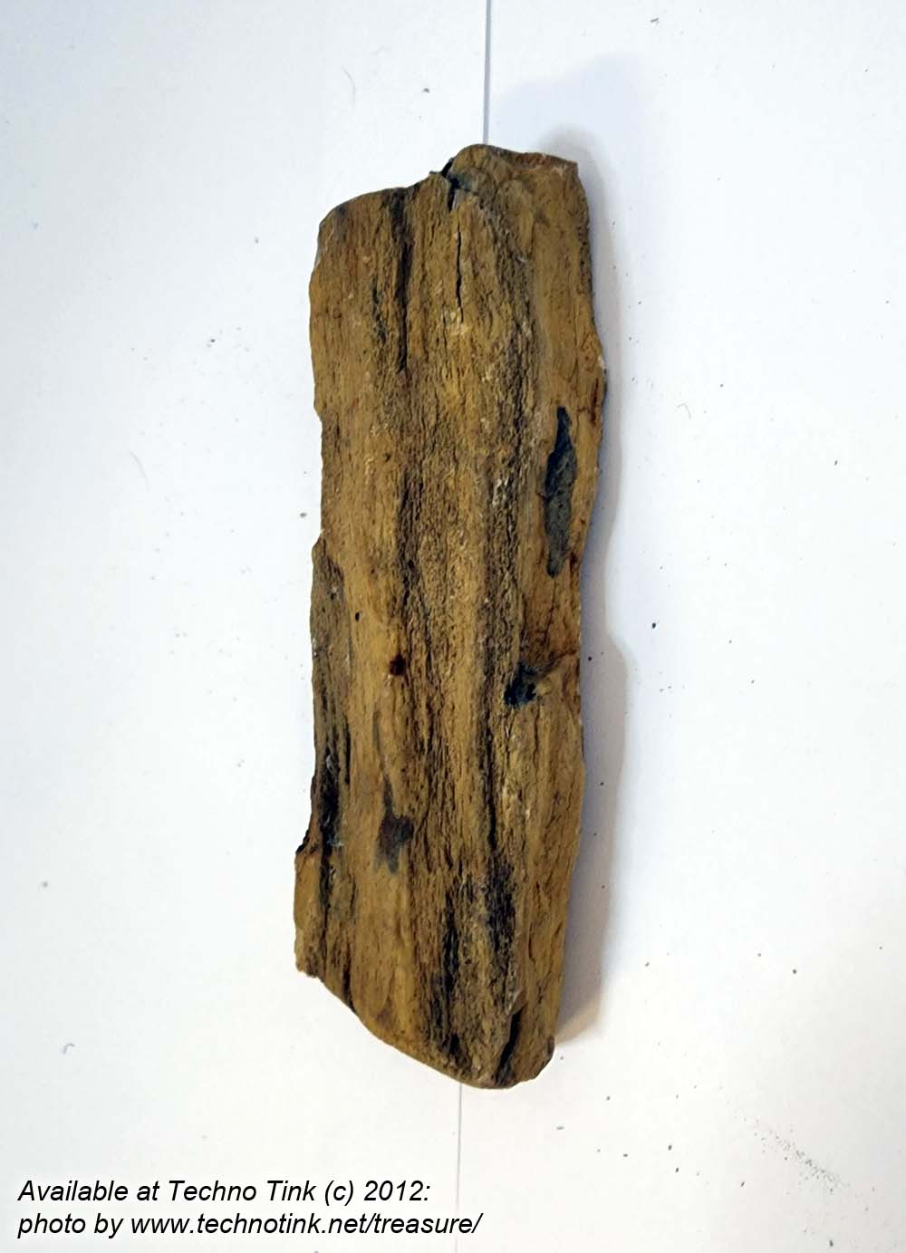 Small Raw piece of Yellowish-tan colored Petrified Wood measuring 7"x2"x1" - Image 9