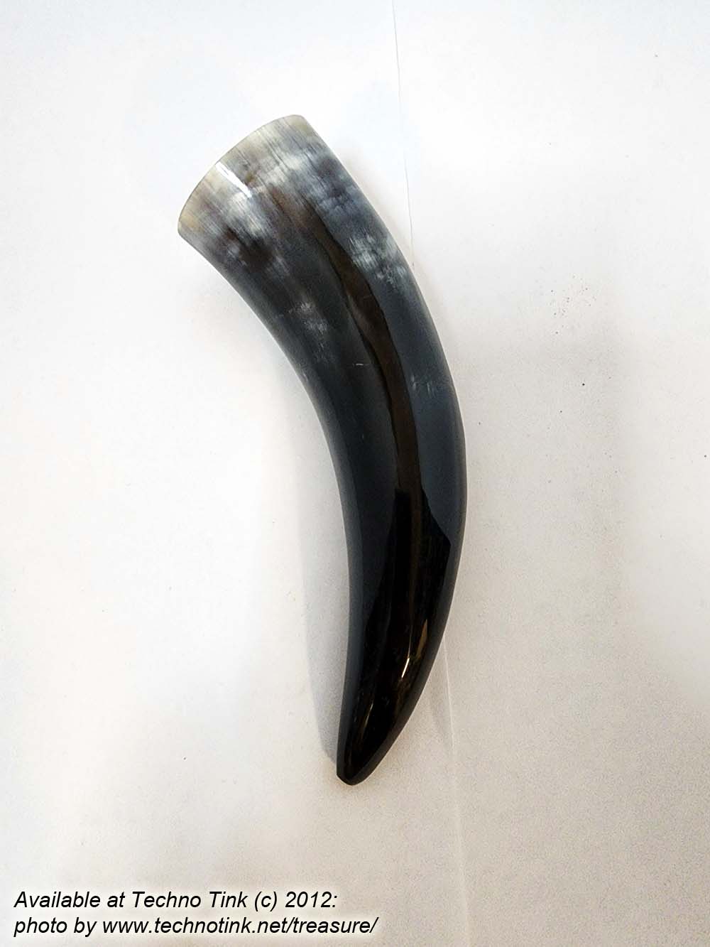 Small black-white Water Buffalo Viking Drinking Horn 5-8.5 inches - Image 3