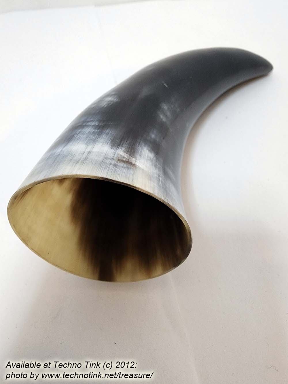 Small black-white Water Buffalo Viking Drinking Horn 5-8.5 inches - Image 5