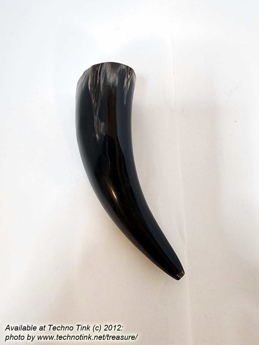 Small black-white Water Buffalo Viking Drinking Horn 5-8.5 inches - Image 7