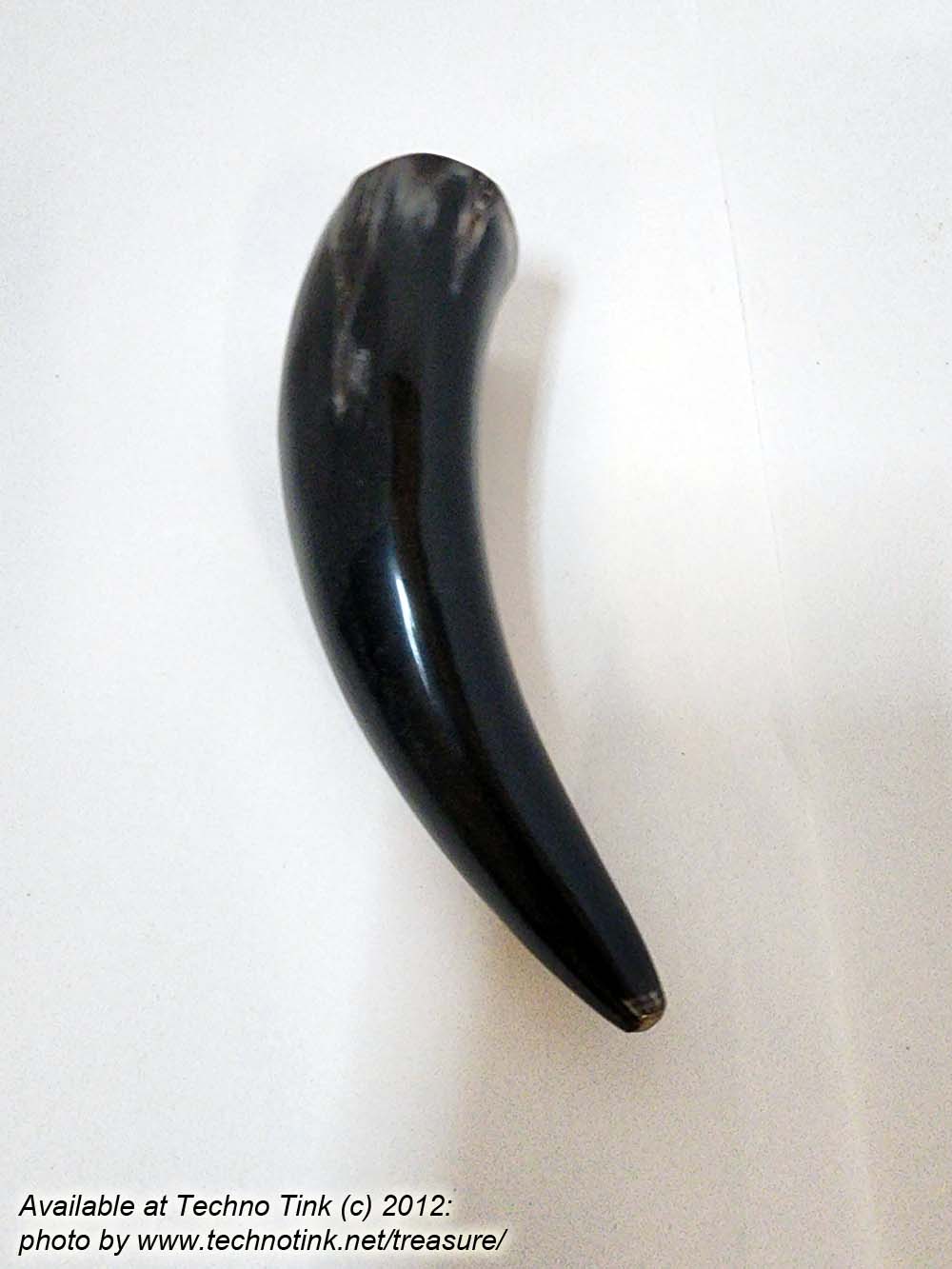 Small black-white Water Buffalo Viking Drinking Horn 5-8.5 inches - Image 11