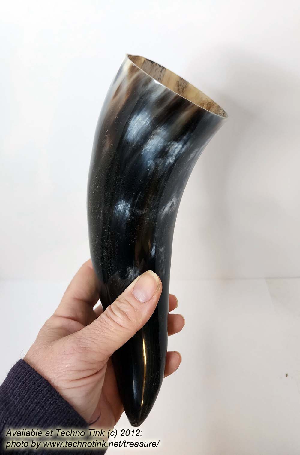 Water Buffalo Horn average 11-12 inch - Image 4