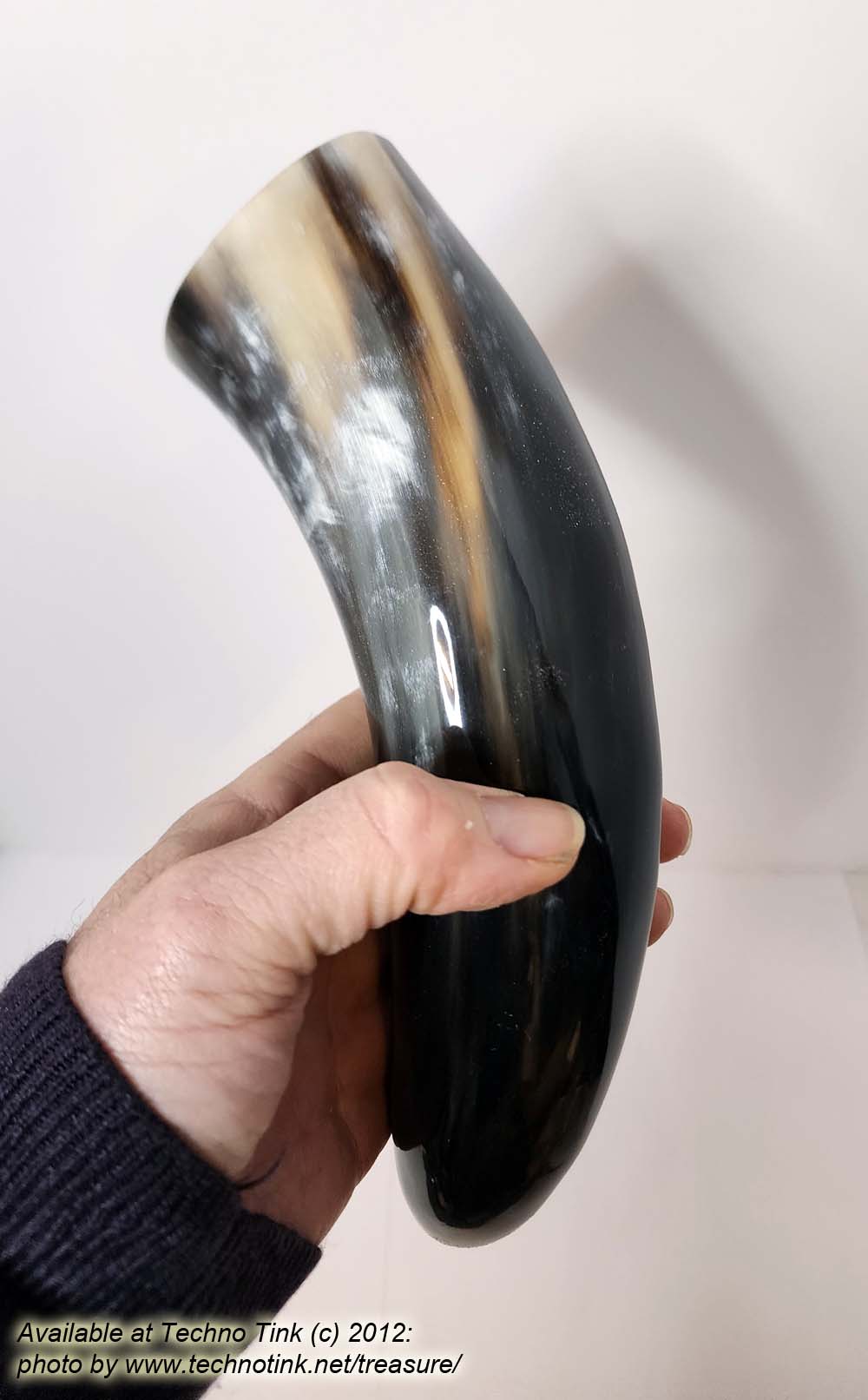 Water Buffalo Horn average 11-12 inch - Image 5