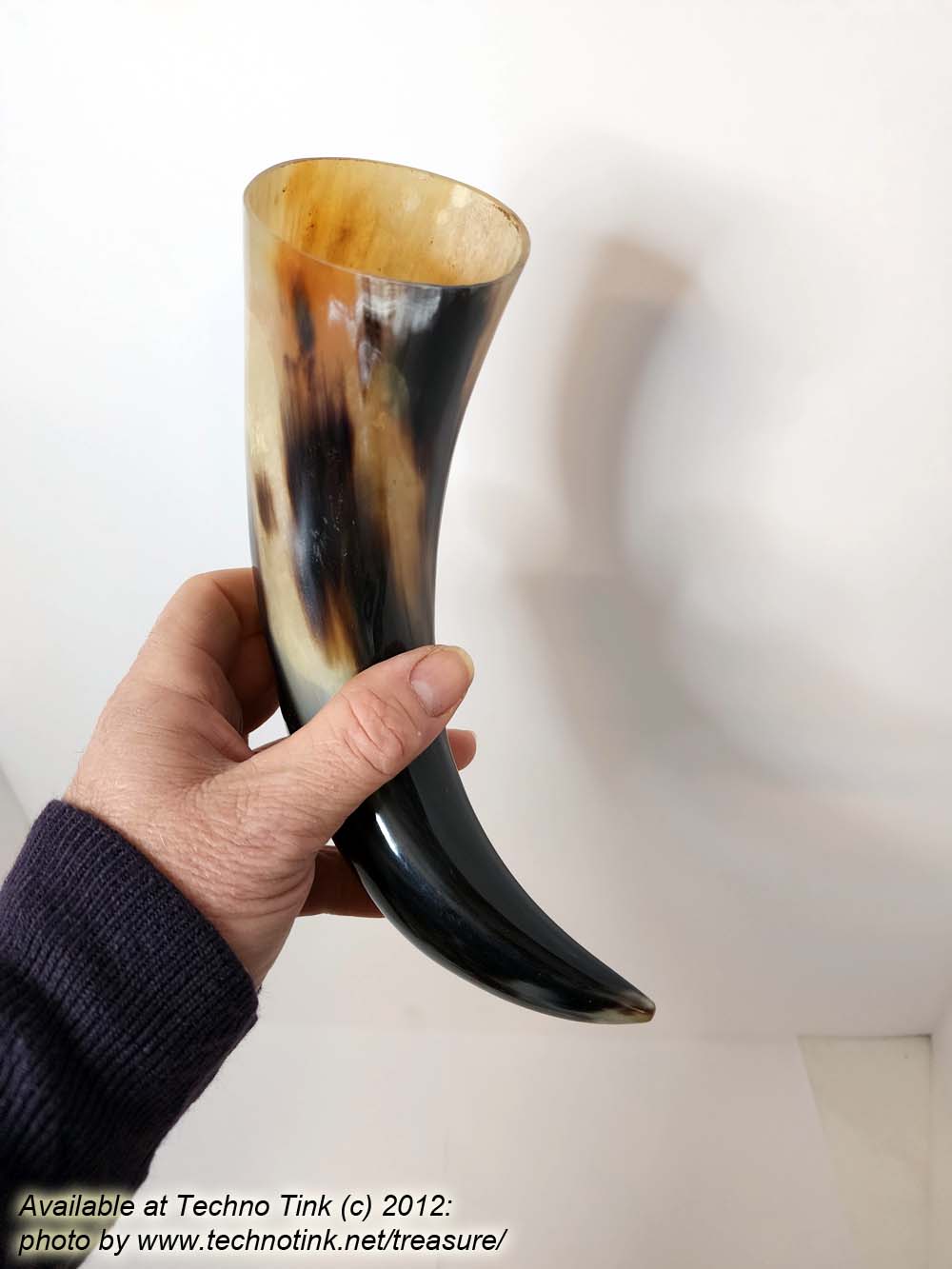 Water Buffalo Horn average 11-12 inch - Image 11