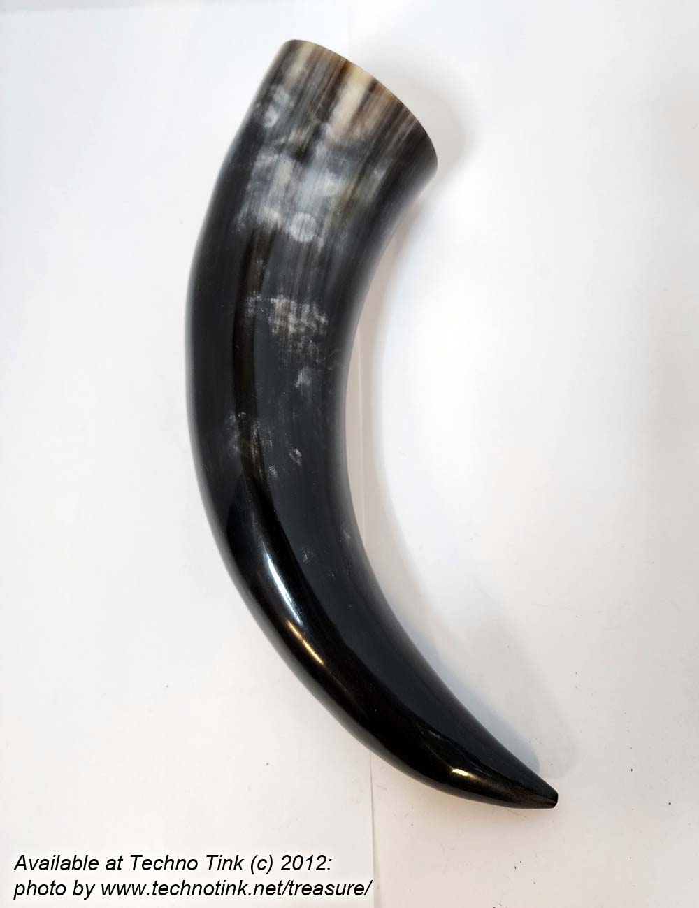 Water Buffalo Medieval/Pirate/Viking Drinking Horn average 11 inch - Image 11