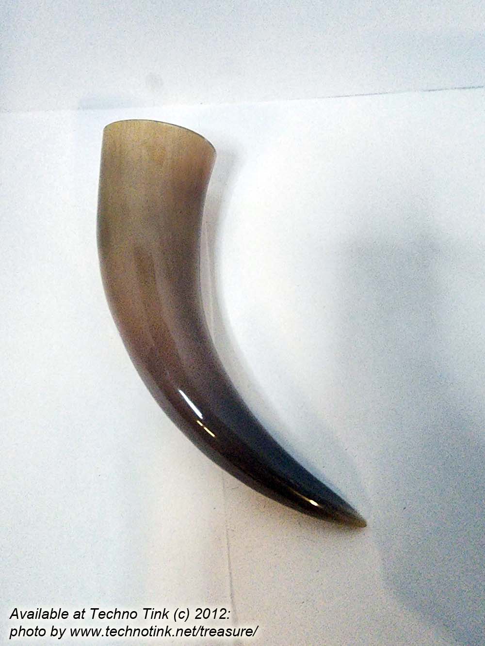 Buffalo Pirate - Medieval - Viking Drinking Horn average 10 inch (HR100-10T) - Image 3