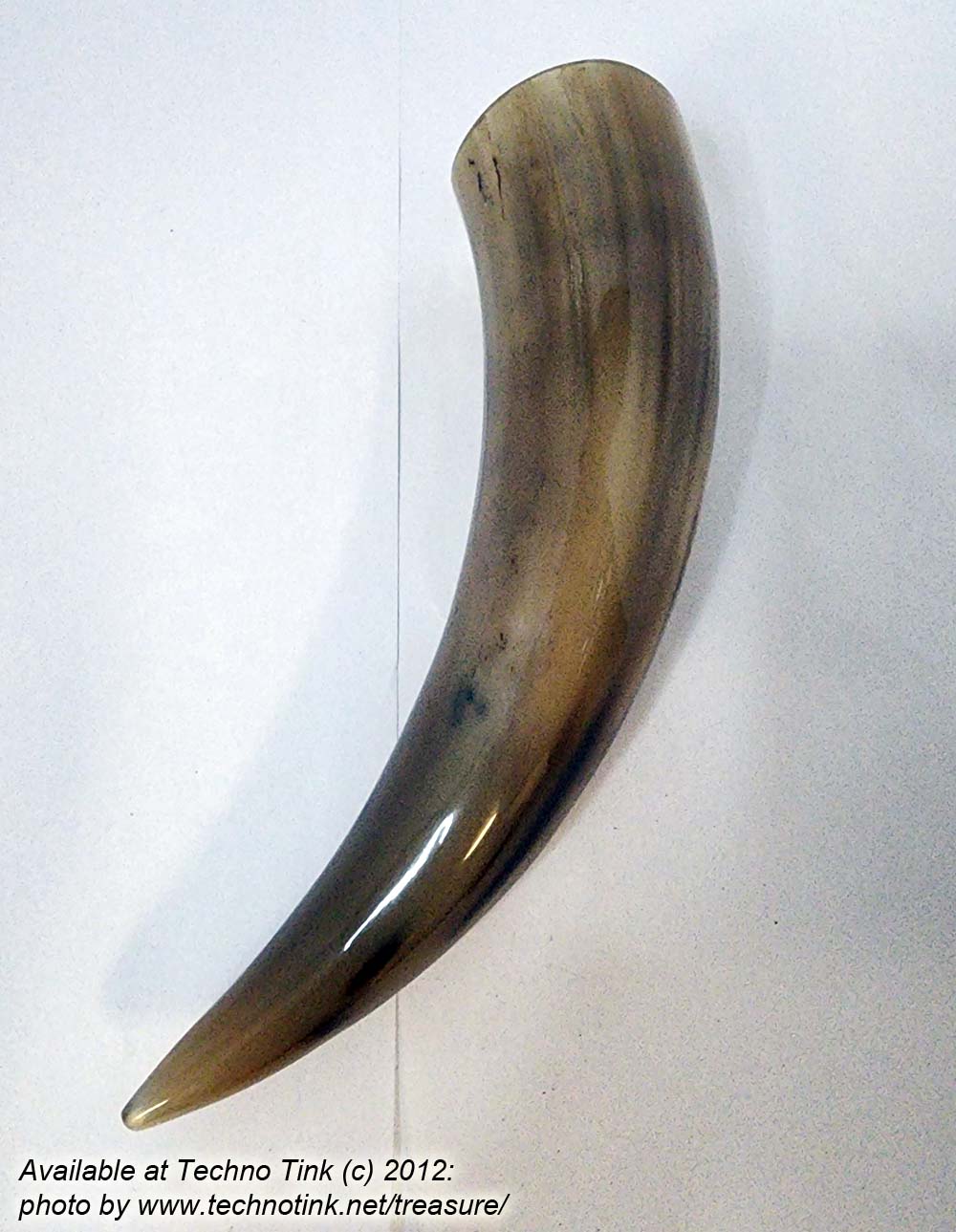 Buffalo Pirate - Medieval - Viking Drinking Horn average 10 inch (HR100-10T) - Image 10