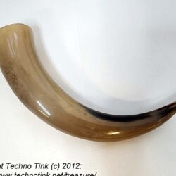 Water Buffalo Medieval - Pirate - Viking Drinking Horn average 13 inch (HR100-13T)