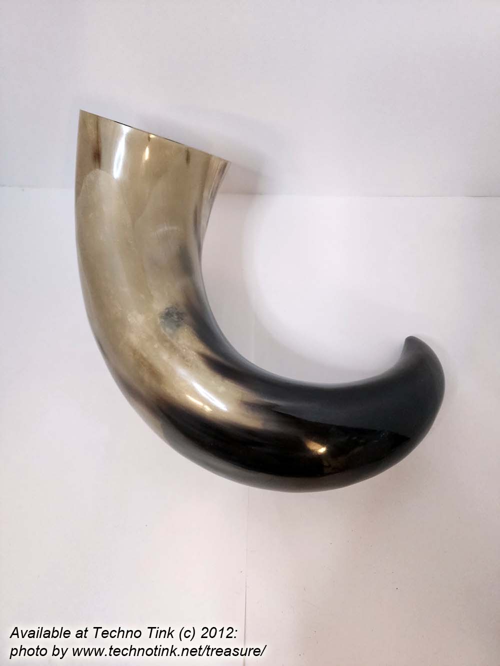 Water Buffalo Viking Drinking Horn 18-20 inch / 4-5 inch base (HR100-20A) - Image 3