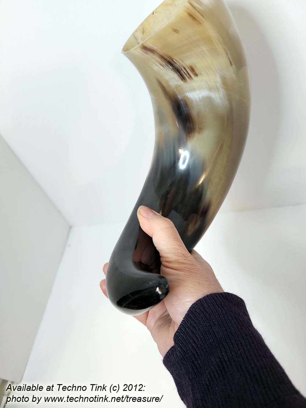 Water Buffalo Viking Drinking Horn 18-20 inch / 4-5 inch base (HR100-20A) - Image 5