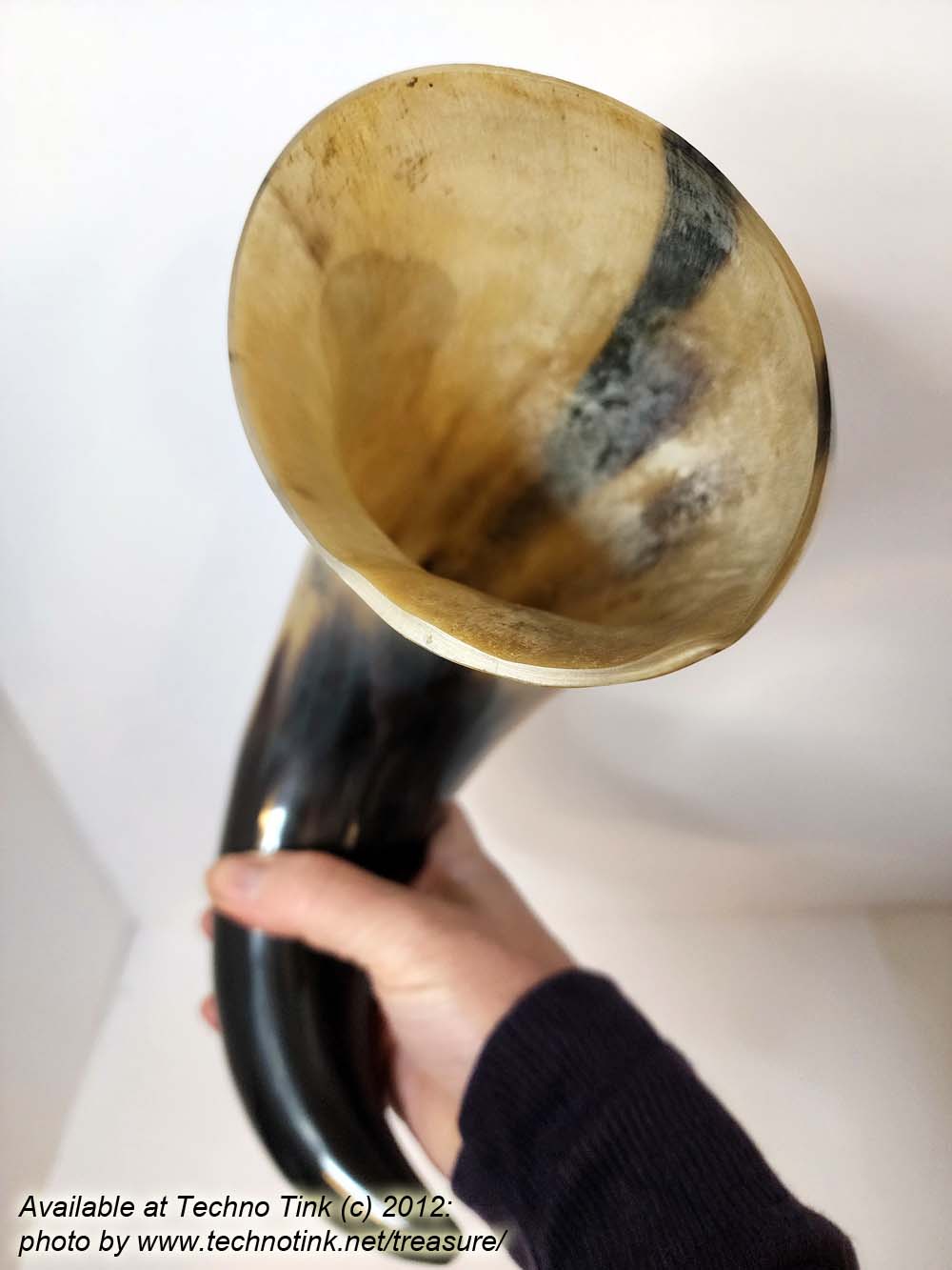 Water Buffalo Viking Drinking Horn 18-20 inch / 4-5 inch base (HR100-20A) - Image 6