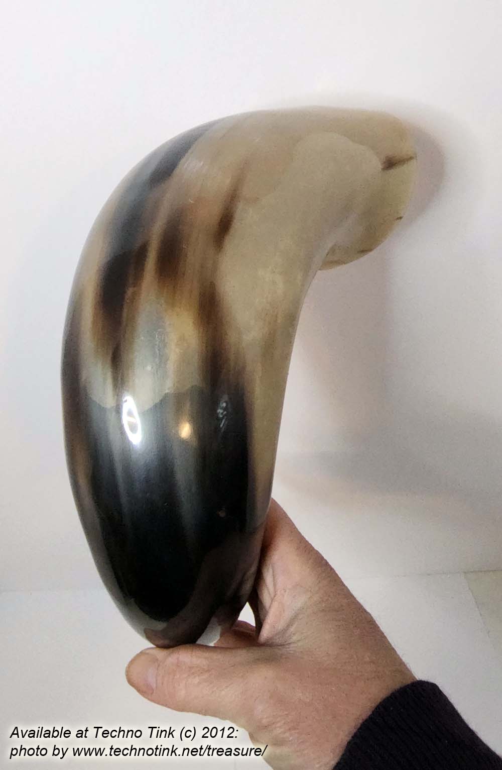Water Buffalo Viking Drinking Horn 18-20 inch / 4-5 inch base (HR100-20A) - Image 8