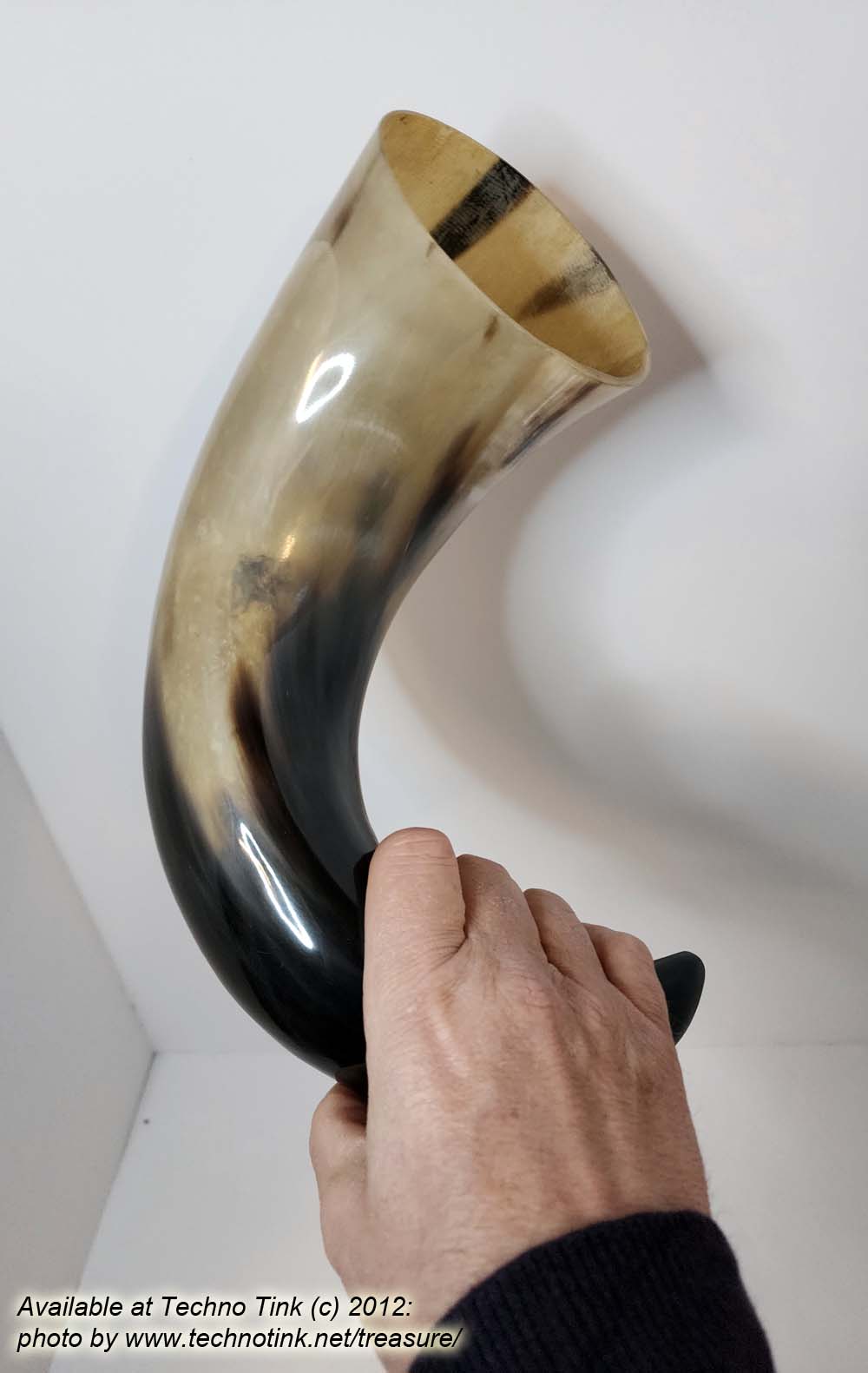 Water Buffalo Viking Drinking Horn 18-20 inch / 4-5 inch base (HR100-20A) - Image 9