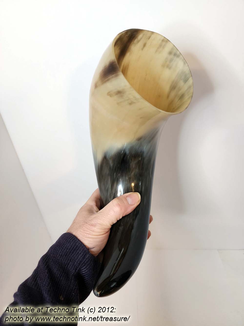 Water Buffalo Viking Drinking Horn 18-20 inch / 4-5 inch base (HR100-20A) - Image 14