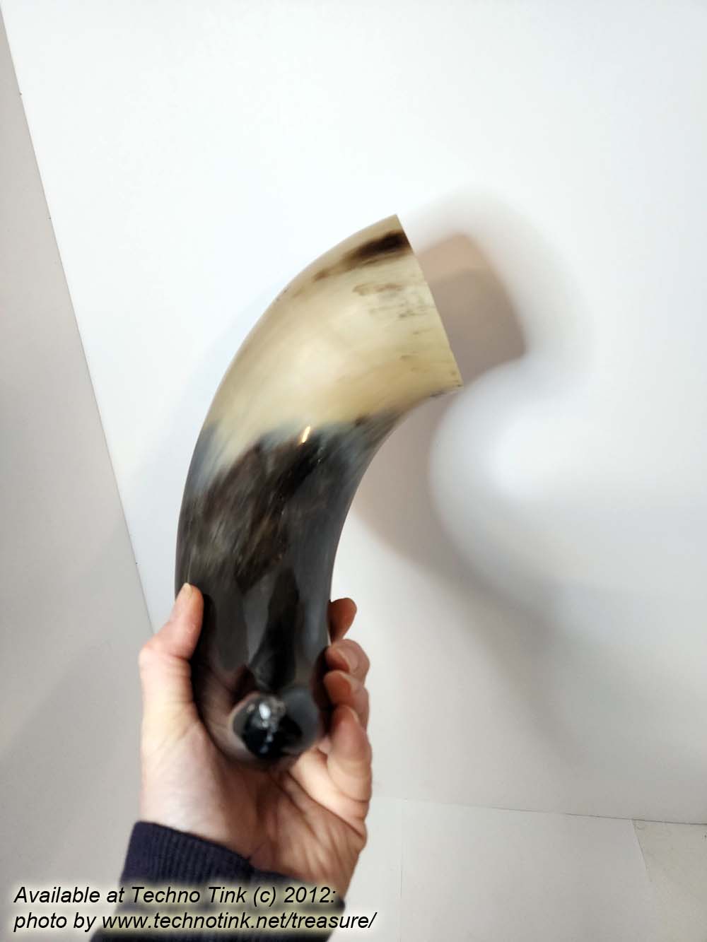 Water Buffalo Viking Drinking Horn 18-20 inch / 4-5 inch base (HR100-20A) - Image 18