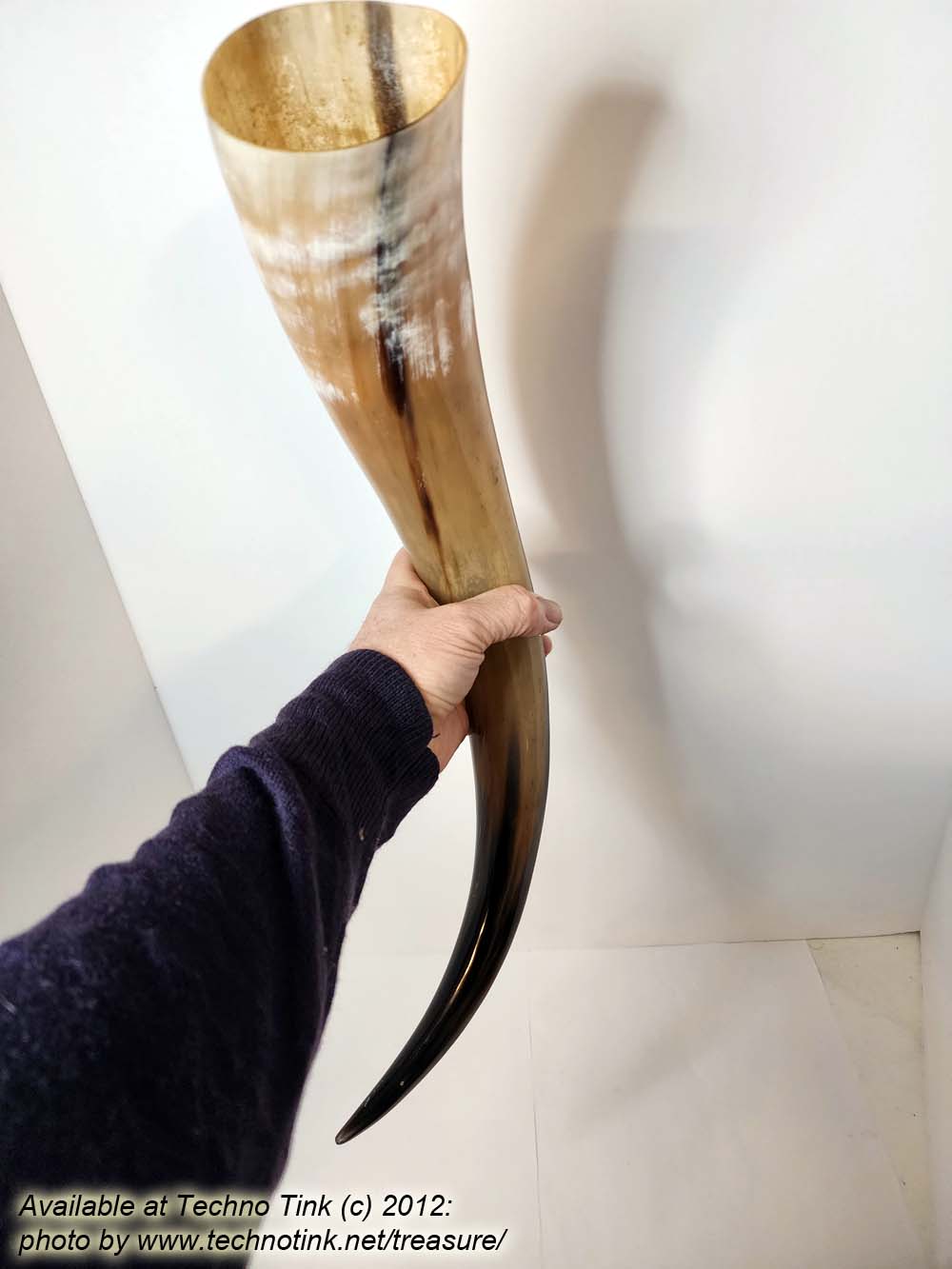 Water Buffalo Viking Drinking Horn 21-27 inch (HR100-25) - Image 6