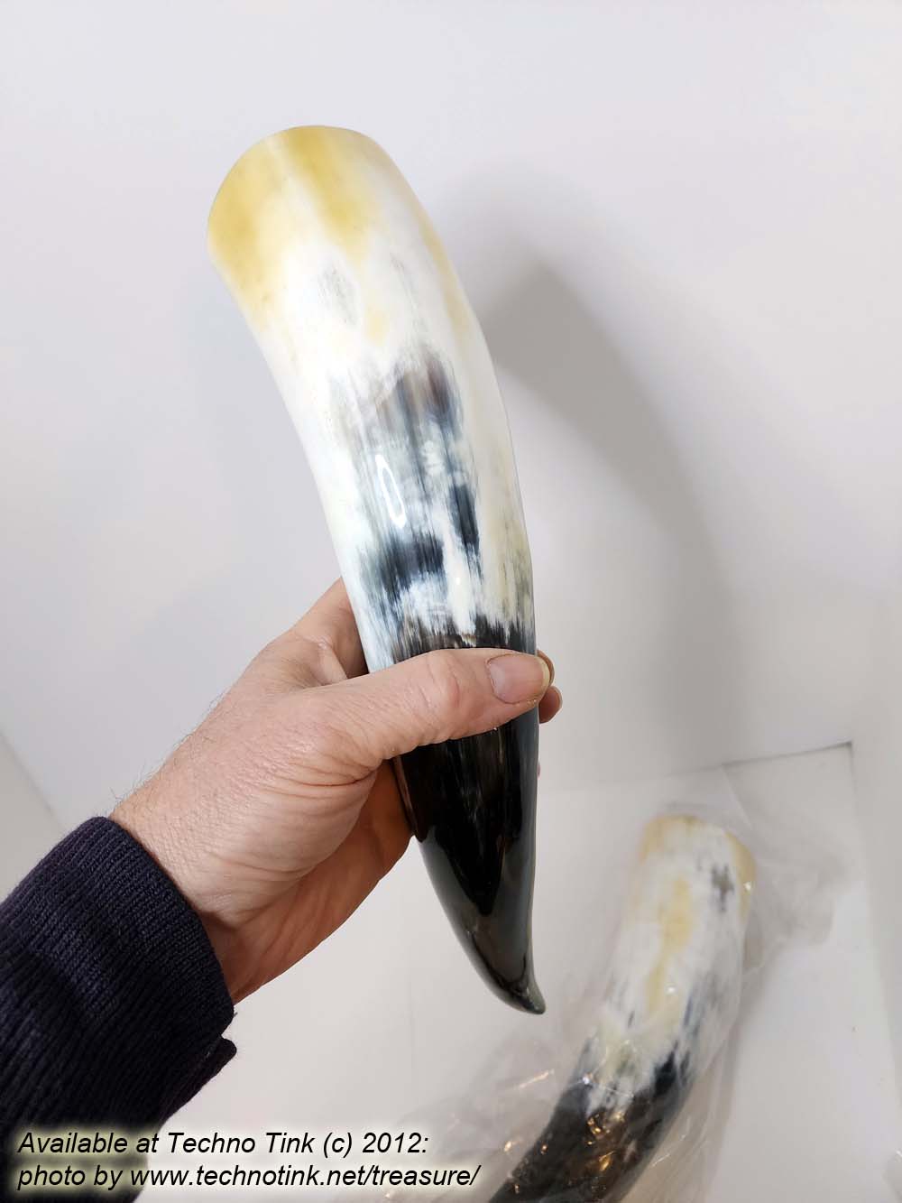 Pair of Steer Viking Drinking Horns 16x3x3 inch 1 pair (HR100-13SP) - Image 7