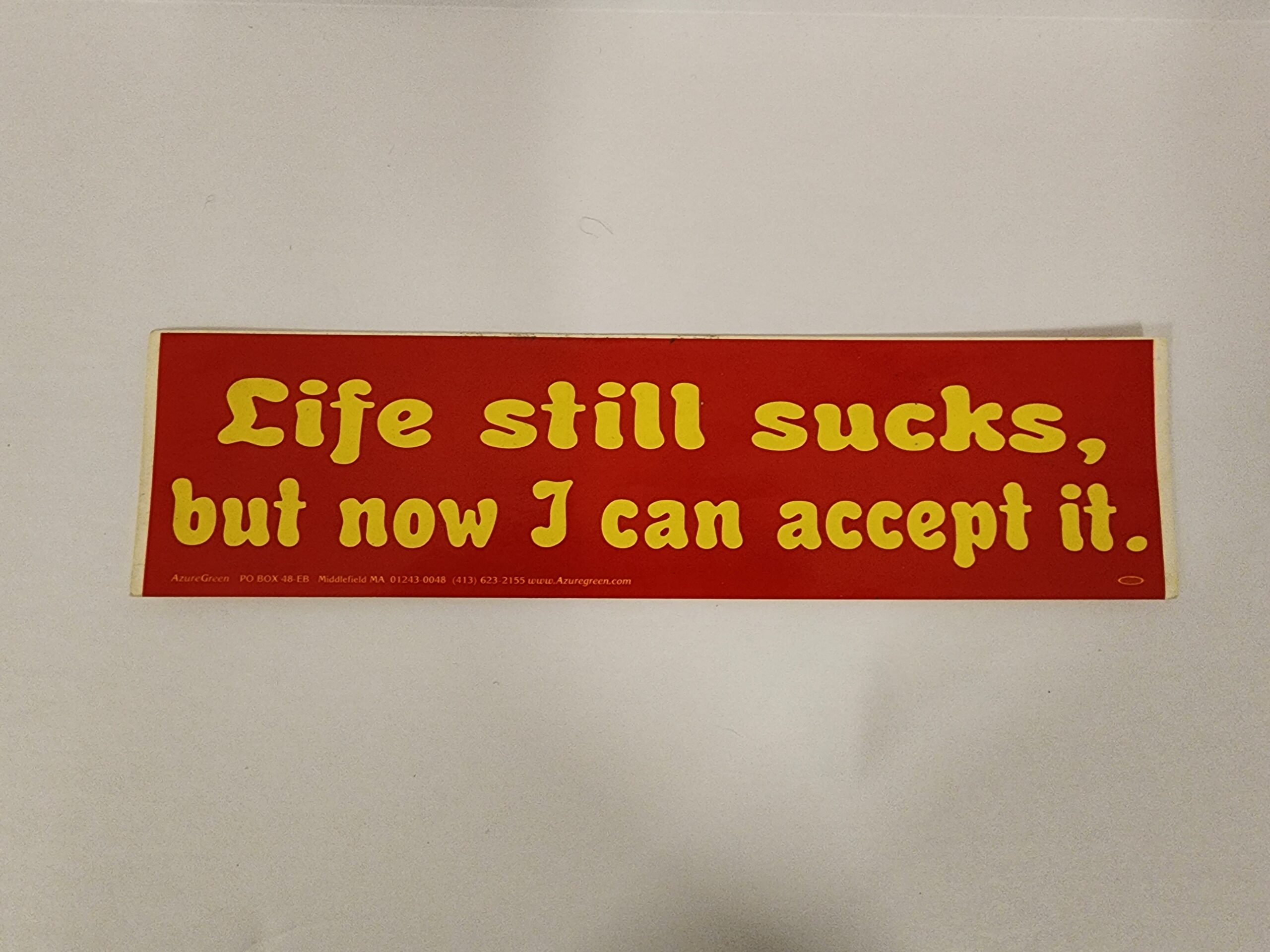 Life still sucks, but now I can accept it Bumper Sticker