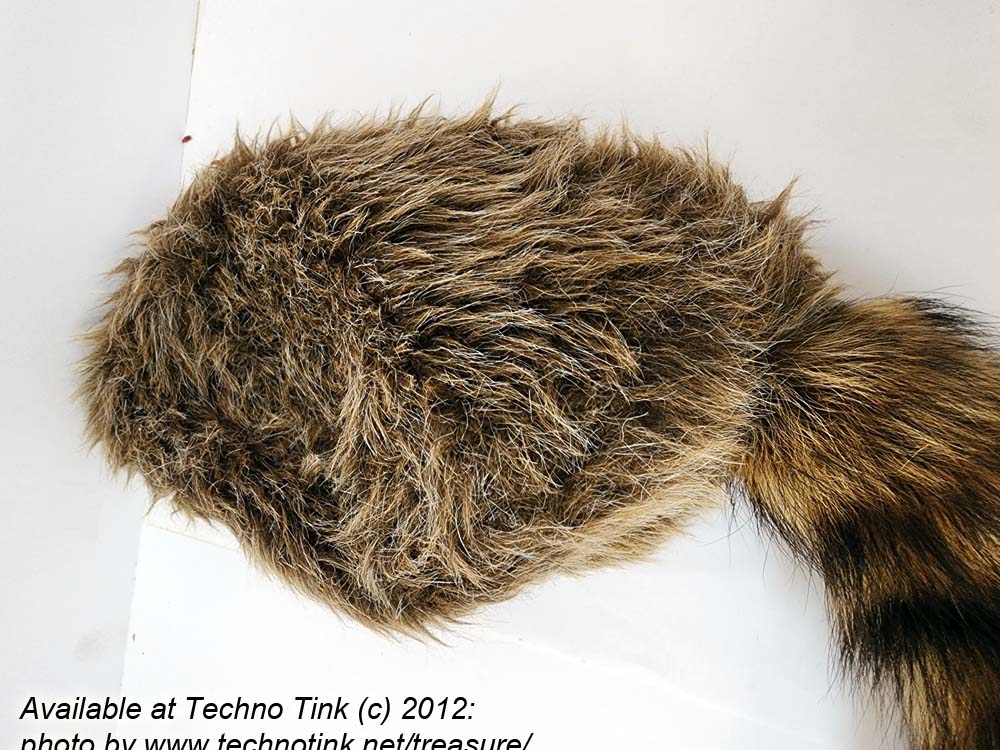Coon skin cap - Regular Size - Image 5