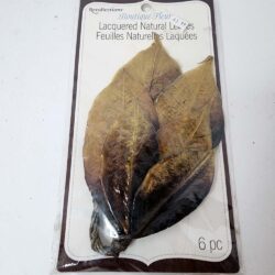 Bronze Green Lacquered Natural Leaves