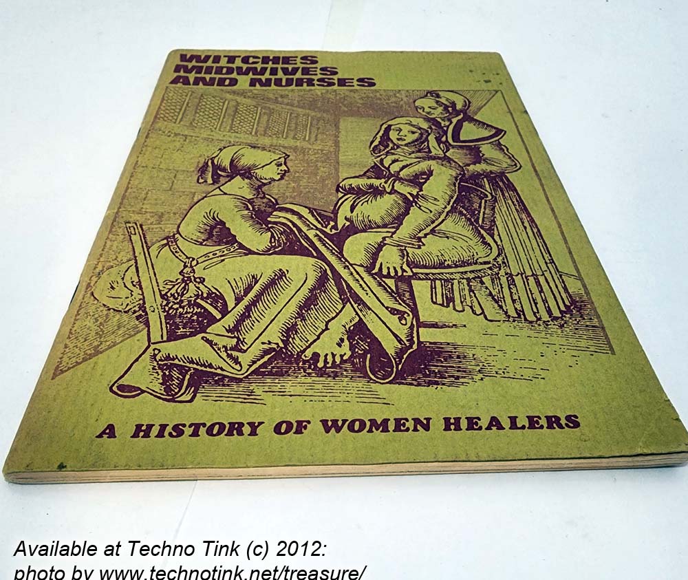 Witches, Midwives, and Nurses : A History of Women Healers by Barbara Ehrenreich and deirdre English (paperback/pamphlet zine n.d. )