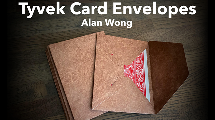 Tyvek Card Envelopes 10 pk. BROWN by Alan Wong - Image 4