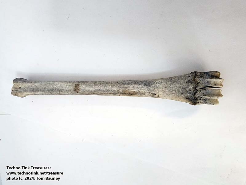 Deer Tibia measuring approximately 10"x1.5"x1" - Image 5