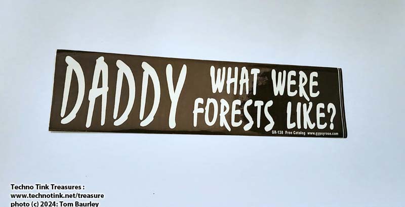Daddy What Were Forests Like? Bumper Sticker