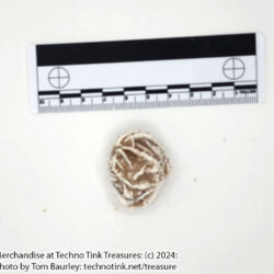 Small Desert Rose Gypsum Crystal 1x1