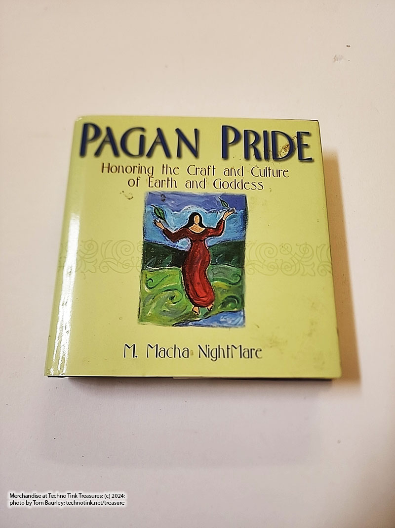 Pagan Pride : Honoring the Craft and Culture of Earth and Goddess (hardcover)