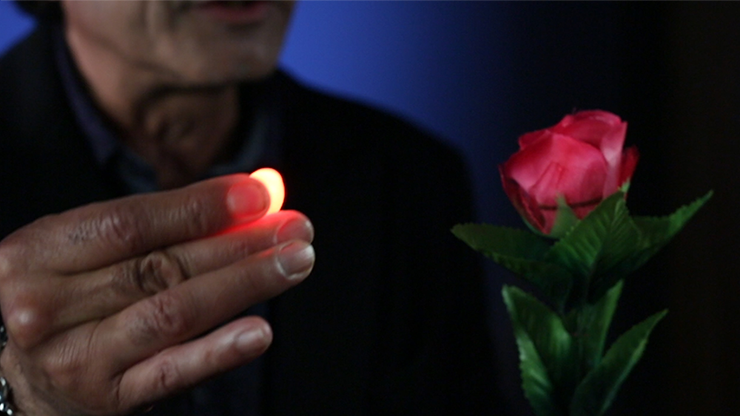 Rocco's Prisma Lites SOUND Red - Image 18
