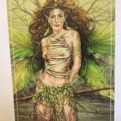 Jim Colorex Reuille postcard : Ogham Series 2006