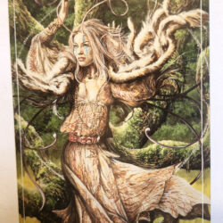 Jim Colorex Les chant des arbres postcard : Ogham Series 2007