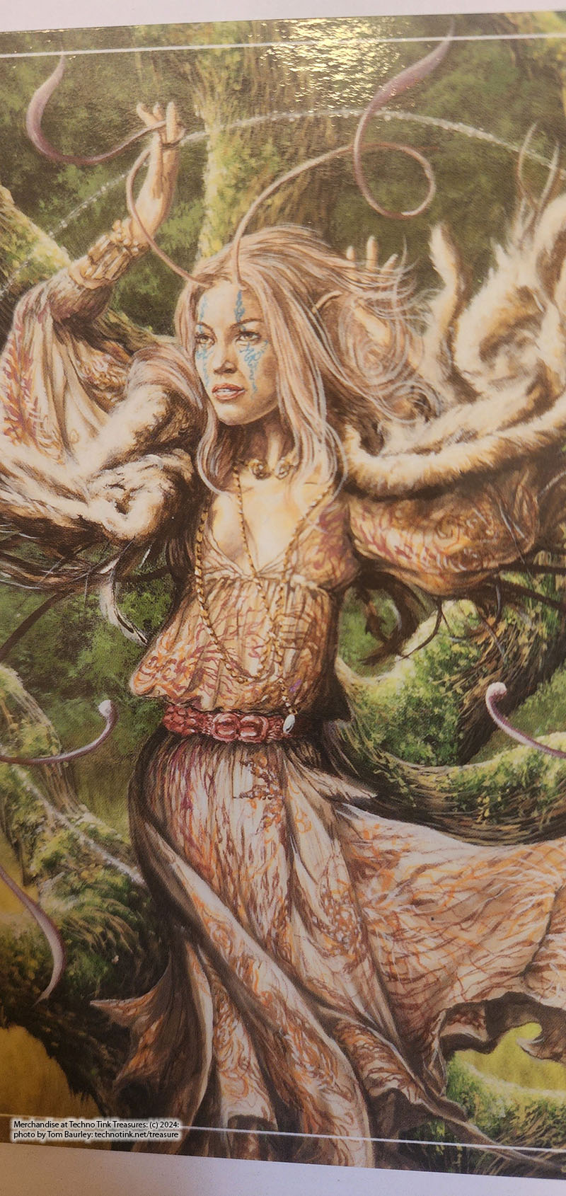 Jim Colorex Les chant des arbres postcard : Ogham Series 2007 - Image 3