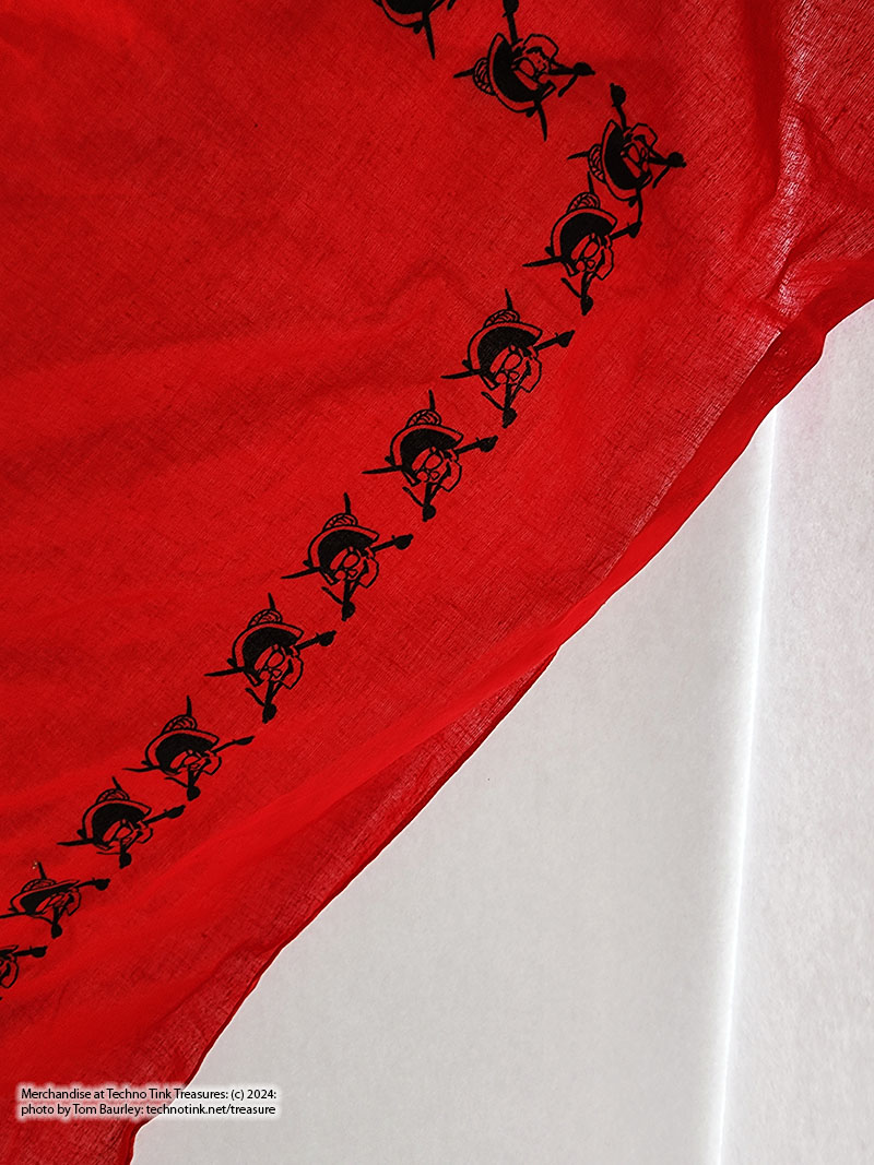 Black Dress Like a Pirate Skull and Sword Red Scarf - Image 13
