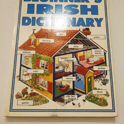 Beginner's Irish Dictionary by Helen Davies et al