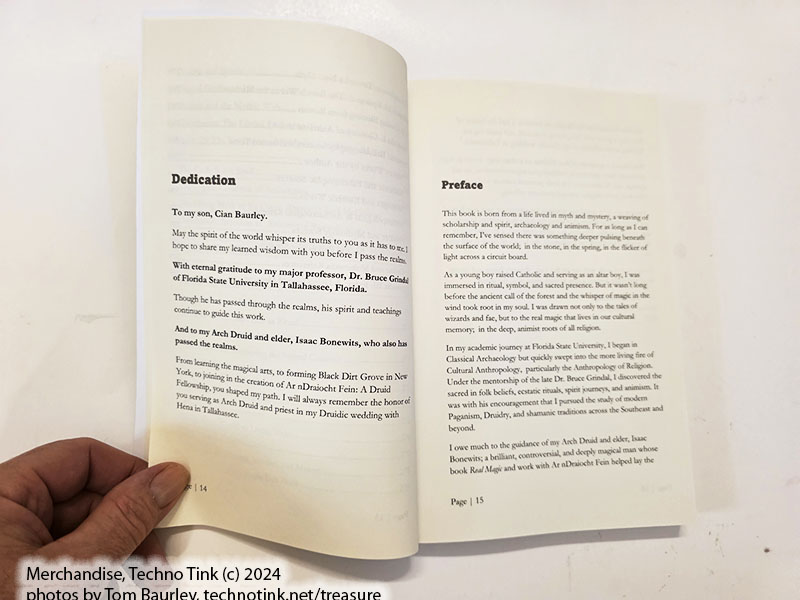 Animism and Ai by Thomas Baurley (Paperback 2025) - Image 14