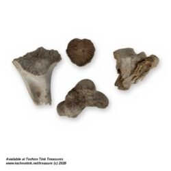 Lot of 4 Cow Leg Bone Fragments - Natural Weathered Sun Dried Bovine Bones