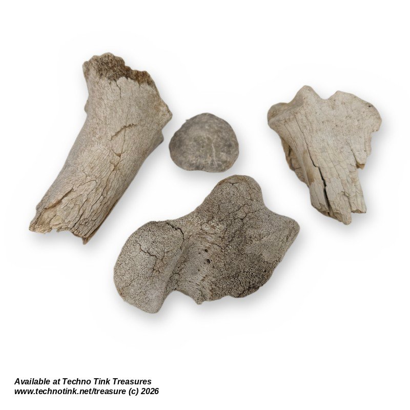 Lot of 4 Cow Leg Bone Fragments - Natural Weathered Sun Dried Bovine Bones - Image 6