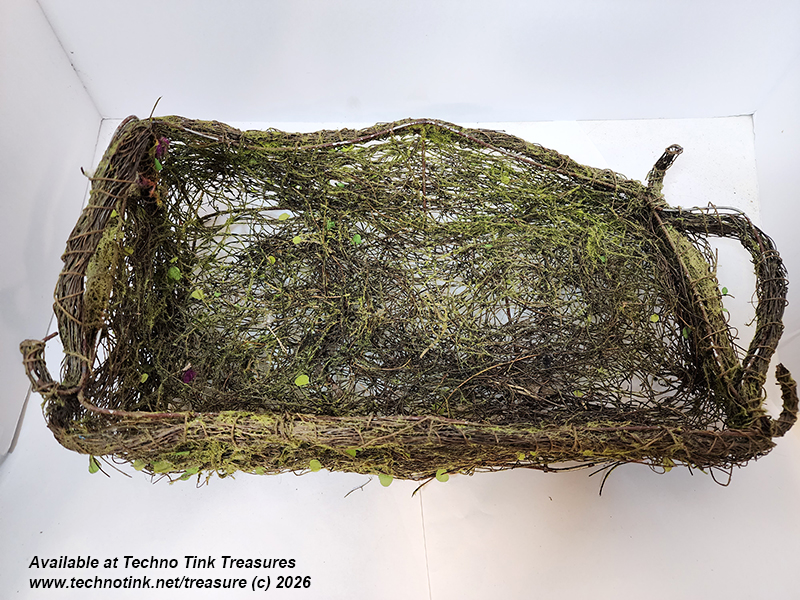 Moss and Twig Basket 16x10x4 (Used) - Image 2