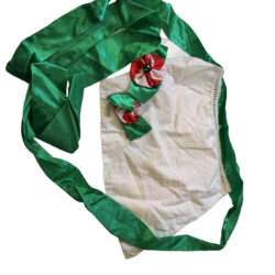 Apron - Peppermint Elf Green White Used