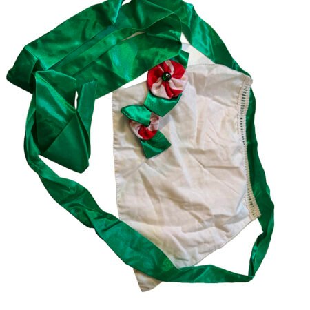 Apron - Peppermint Elf Green White Used