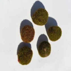Faux MOSS Covered Rocks : Assorted Sizes